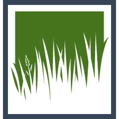 Bahia Sod Replacement Pros
