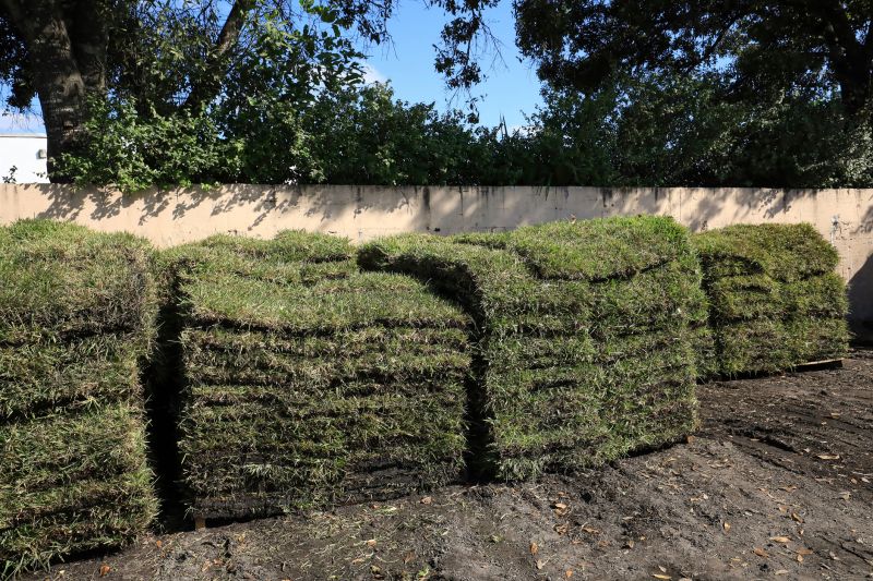 Bahia Sod Replacement