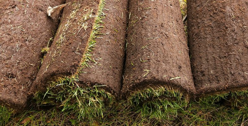 Bahia Sod Replacement