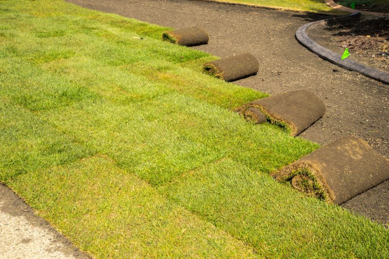 Bahia Sod Replacement
