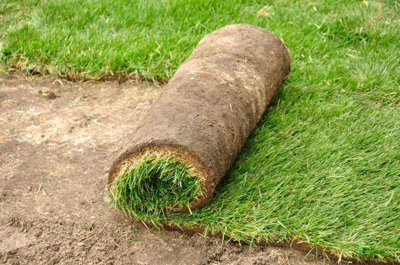 Fresh Bahia Sod Installation