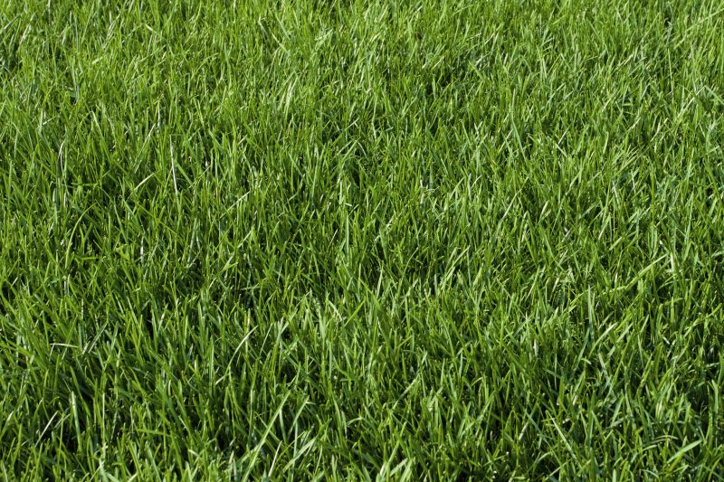 Material Picks that Last