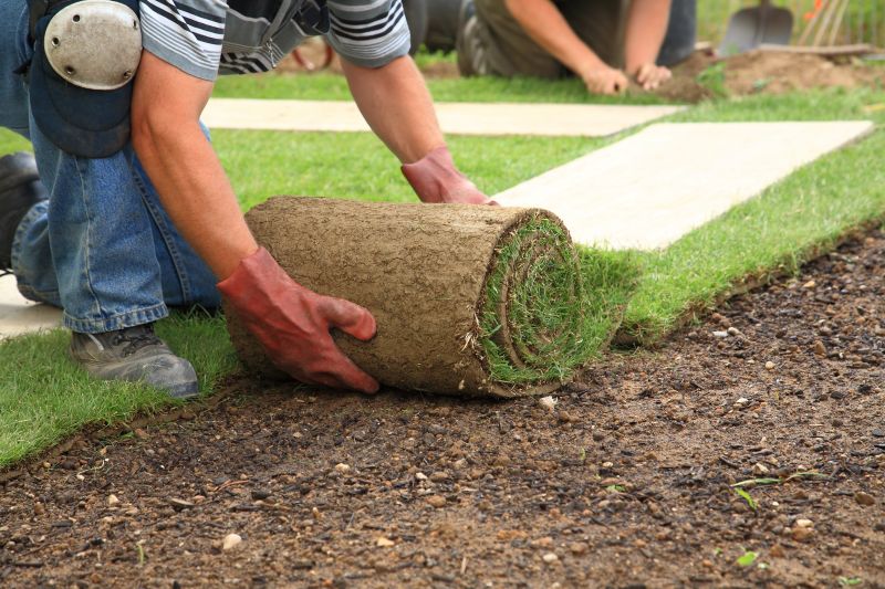 Commercial Sod Installation