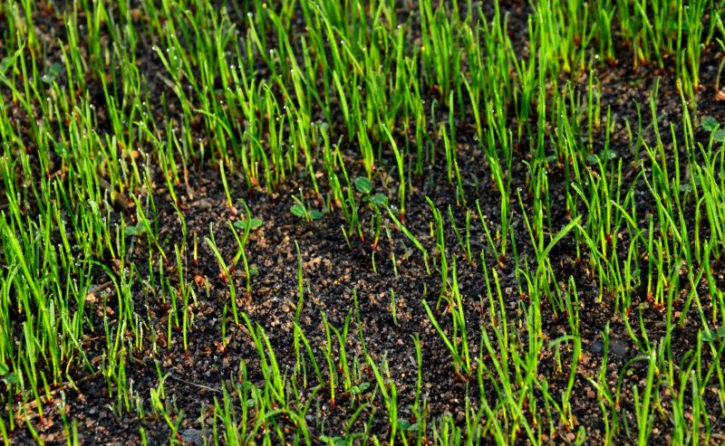 Agricultural Extension Services