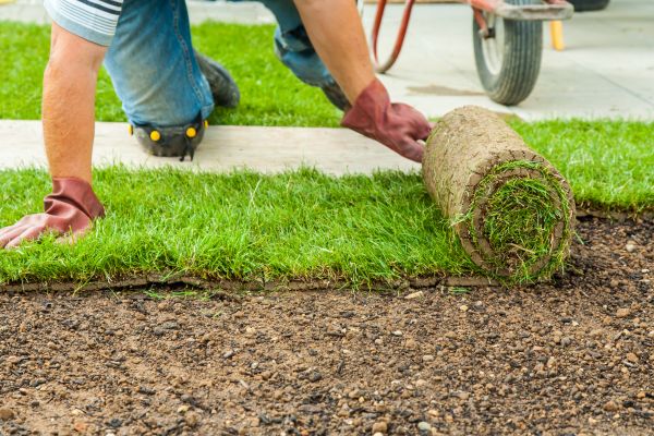 Grow your Bahia Sod Replacement business